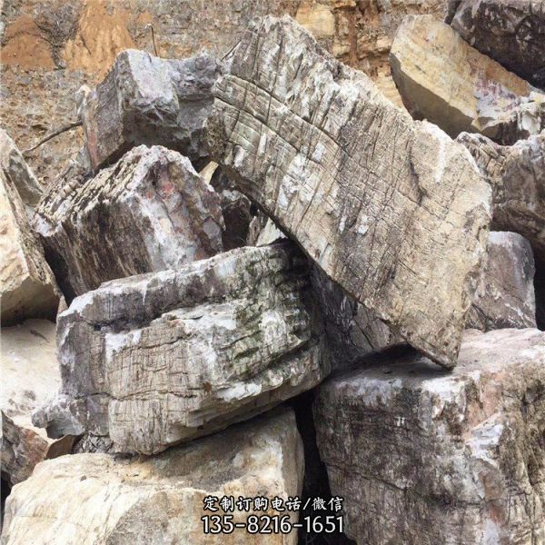 公园景区大型龟纹石石雕园林假山摆件