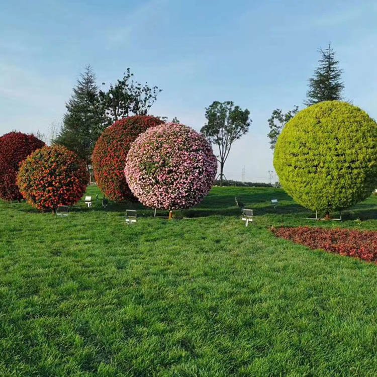 花園大圓植物——不銹鋼綠植圓球圖片