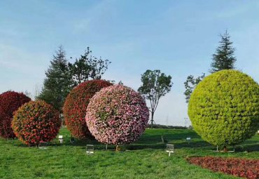 花園大圓植物——不銹鋼綠植圓球