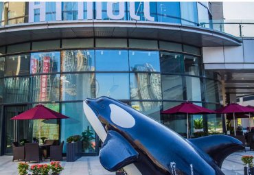 崇尚自然—商场大型不锈钢仿真动物鲸鱼雕塑