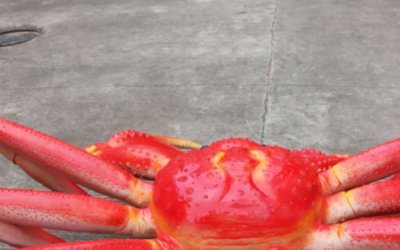 螃蟹雕塑：体现中国特色的技艺