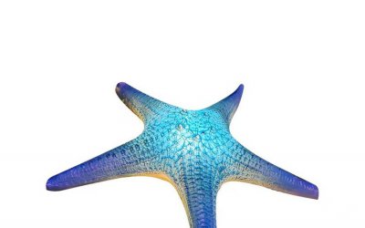 海洋之光——玻璃钢海星雕塑