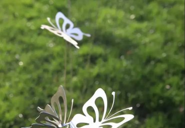 蝴蝶飞舞，草坪上的不锈钢镂空雕塑