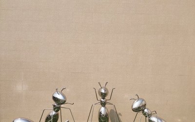 彩色不锈钢蚂蚁雕塑