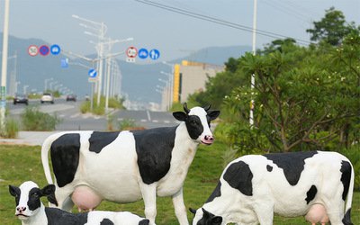 这座位于草坪上的玻璃钢大号牛雕塑，由三头牛组成，使…