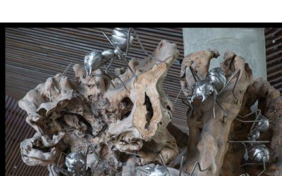 不锈钢蚂蚁雕塑是一种商场步行街上常见的装饰品。它采…