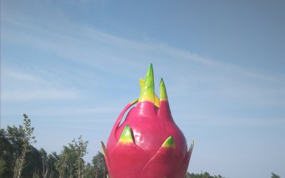 广场创意玻璃钢装饰水果雕塑——火龙果
