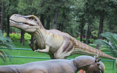 玻璃钢恐龙雕塑是一种大型仿真动物雕塑，由优质玻璃钢…