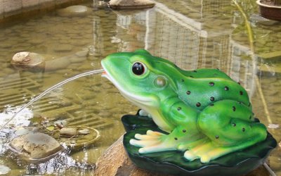 一跃激情，一瞬泉水——青蛙雕塑
