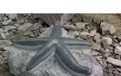 海星雕塑：反映和表达悠久历史