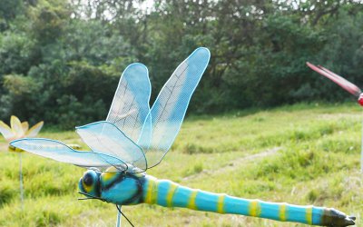 蓝色玻璃钢蜻蜓雕塑，点缀你的空间
