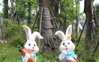 “森林中的智慧：拿萝卜的玻璃钢兔子雕塑”