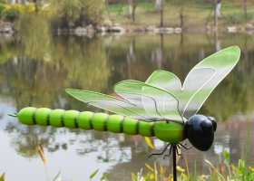 瑰麗蜻蜓--兒童花園廣場玻璃鋼雕塑