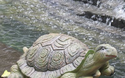 户外池塘玻璃钢乌龟雕塑