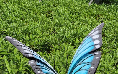 蝴蝶雕塑：一个思考生命的符号