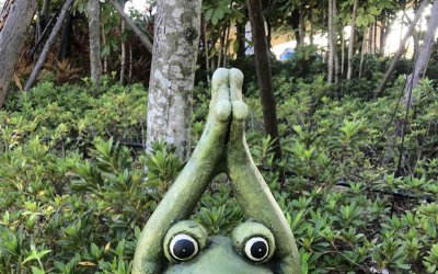 公园青蛙雕塑