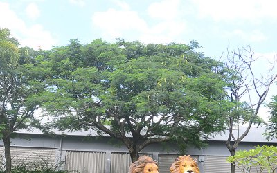 仿真狮子雕塑：为你的园林景观增添生机