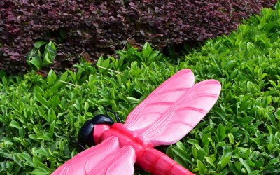 欢乐蜻蜓——学校儿童玩乐场的最佳装饰