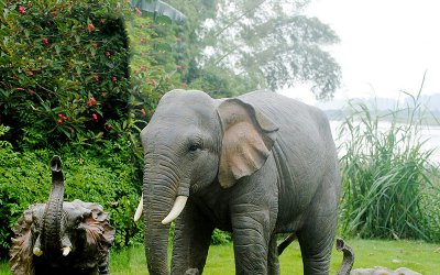 公园草坪玻璃钢大型仿真动物大象雕塑，是一款不可多得…